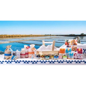 SALE  DI CERVIA SALFIORE 2