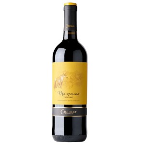 marzemino DOC 2020 cl.75    CONCILIO