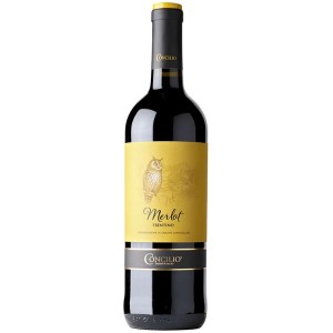 Merlot DOC 2020 cl.75    CONCILIO
