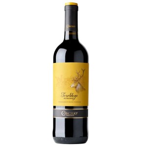 teroldego DOC 2020 cl.75    CONCILIO