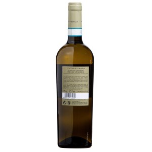 copy of PINOT GRIGIO DOC DELLE VENEZIE CA'DONINI CL.75  2020 2