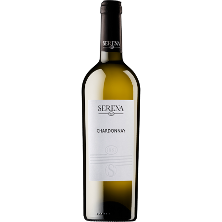 copy of PROSECCO VAL D'OCA DOC CL.75 CARTA ARGENTO  COLLO DA  6 BOTTIGLIE