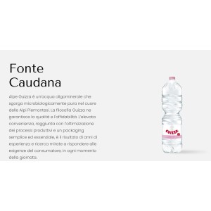 copy of ACQUA GUIZZA NATURALE CL.150 X 6 BOTTIGLIE PET 2