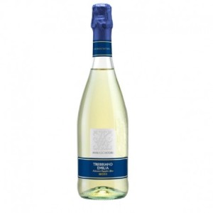 copy of LAMBRUSCO DI MODENA DOP ABBOCCATO 1928...