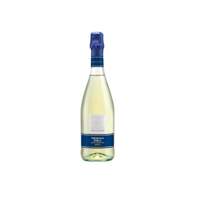 copy of LAMBRUSCO DI MODENA DOP ABBOCCATO 1928 CAVICCHIOLI CL.75